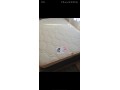 prodam-nove-lizko-z-novim-matracom-small-1